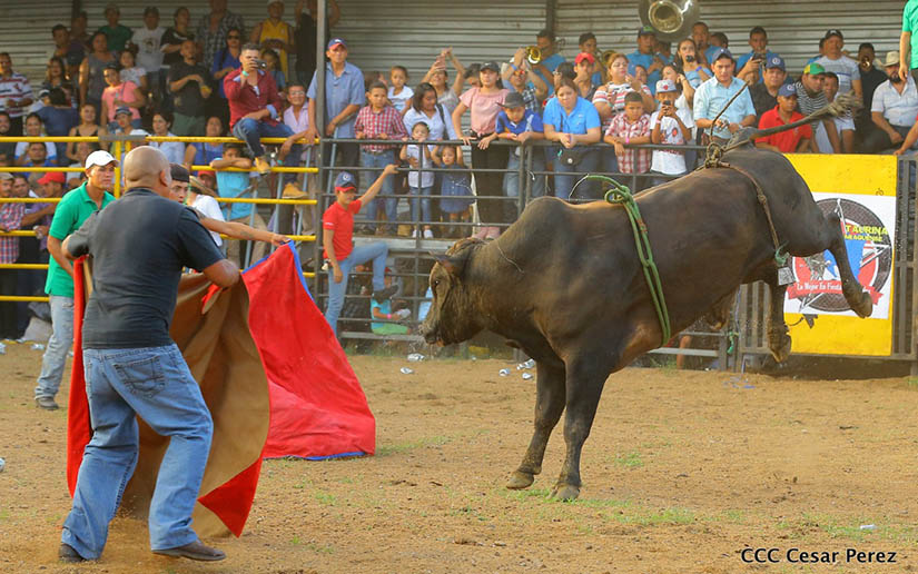 finde